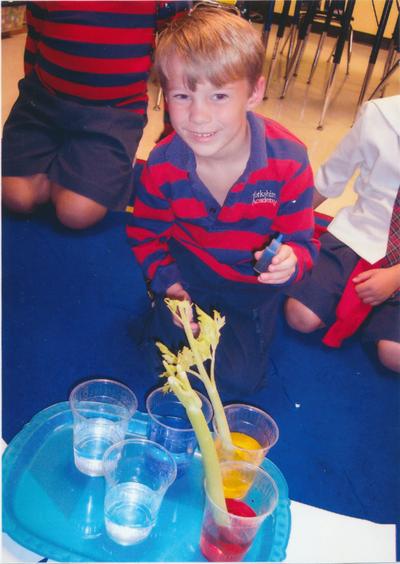 423_nathan_petree_photos